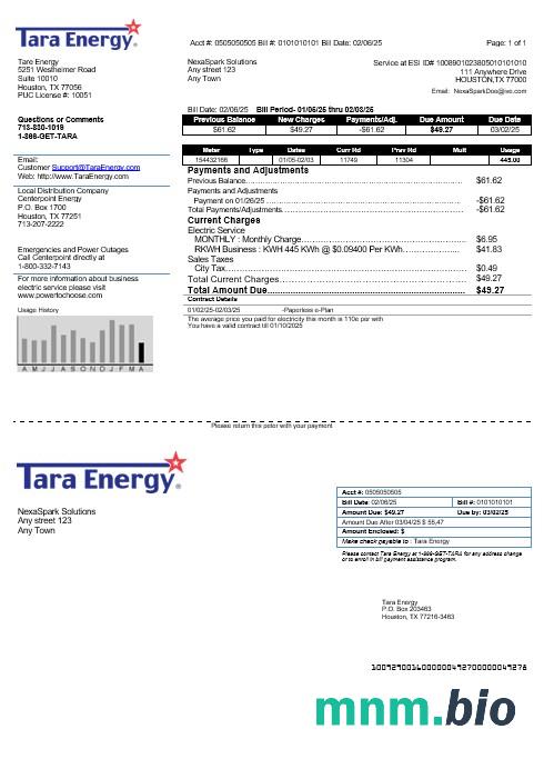 USA Texas Tara Energy rachunek za usługi komunalne szablon w formacie Word i PDF